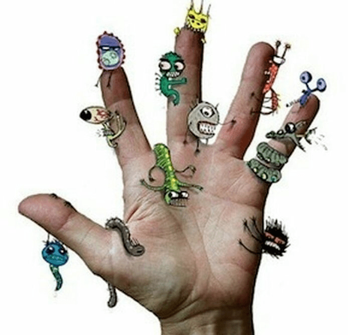 Comment peuvent-ils être infectés par des parasites