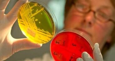 Diagnostic des parasites dans le corps